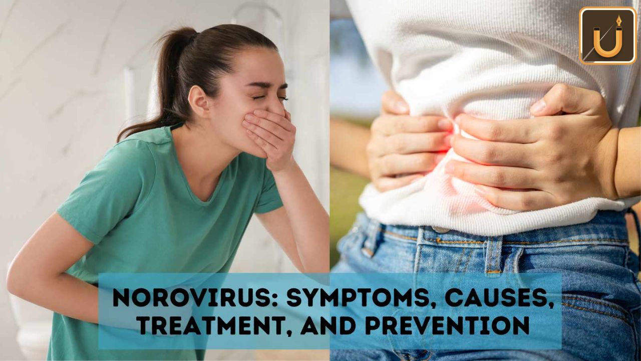 Usthadian Academy / Norovirus: Symptoms, Causes, Prevention & Treatment